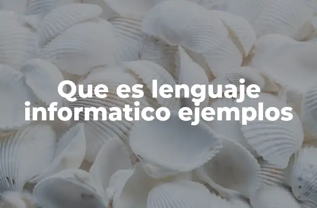 Que es Lenguaje Informatico Ejemplos