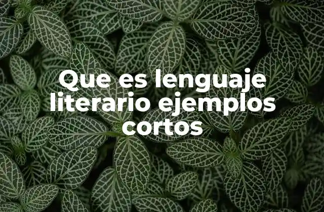 Que es Lenguaje Literario Ejemplos Cortos
