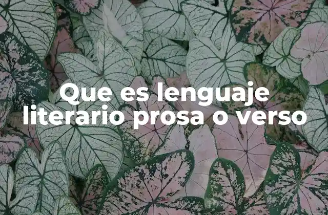 Que es Lenguaje Literario Prosa o Verso