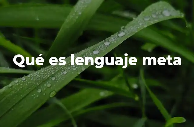 Qué es Lenguaje Meta