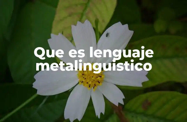 Que es Lenguaje Metalinguistico