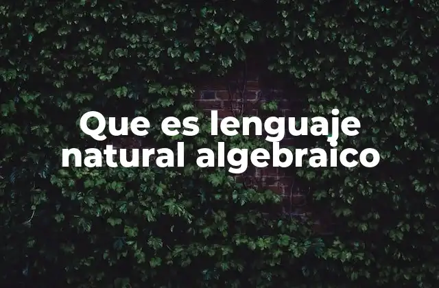 Que es Lenguaje Natural Algebraico