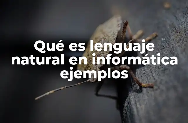 Qué es Lenguaje Natural en Informática Ejemplos