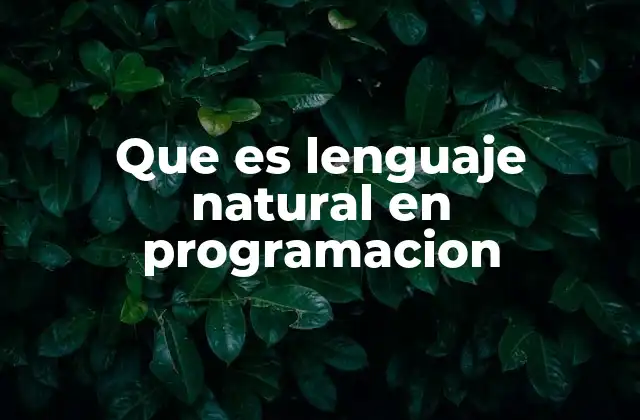 Que es Lenguaje Natural en Programacion