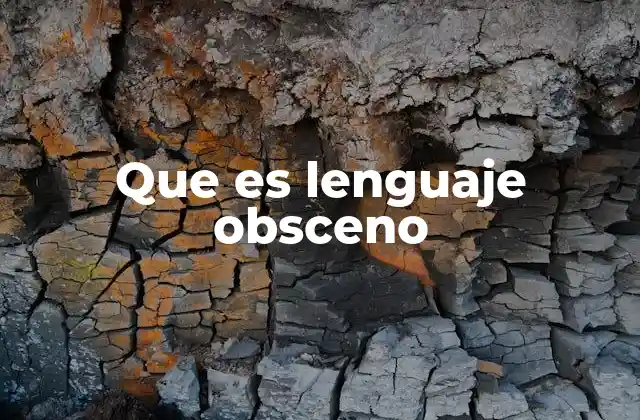 Que es Lenguaje Obsceno