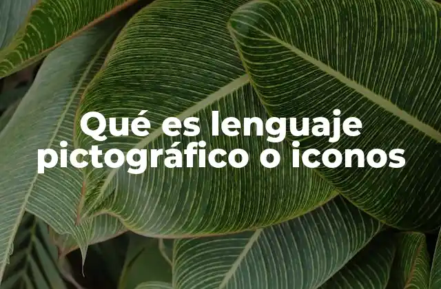 Qué es Lenguaje Pictográfico o Iconos