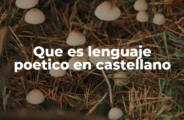 Que es Lenguaje Poetico en Castellano