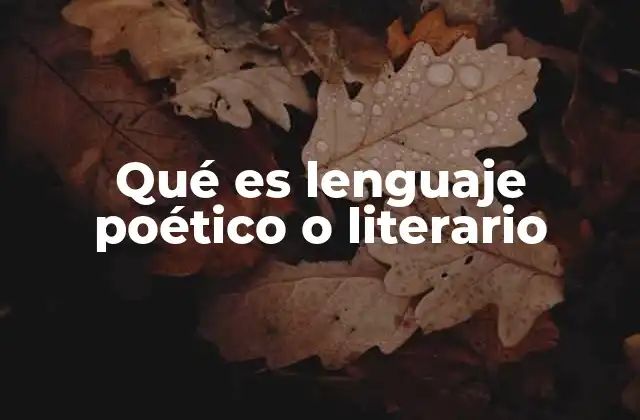 Qué es Lenguaje Poético o Literario