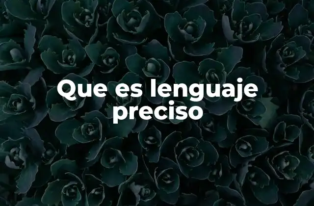 Que es Lenguaje Preciso