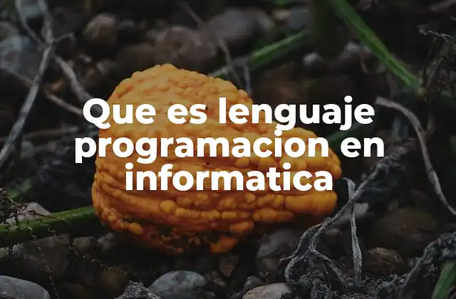 Que es Lenguaje Programacion en Informatica