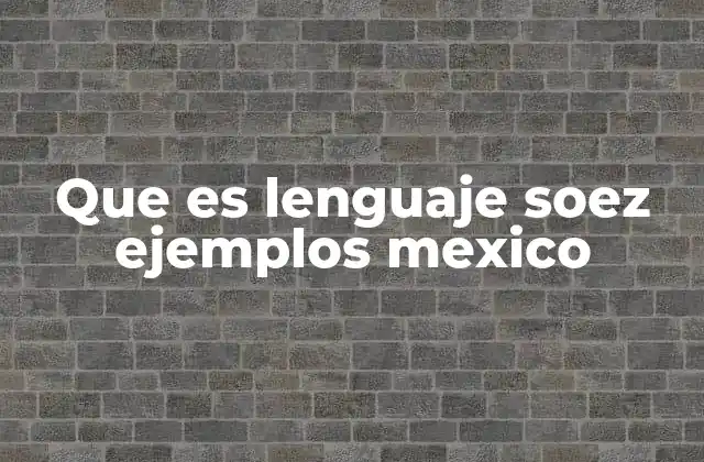 Que es Lenguaje Soez Ejemplos Mexico