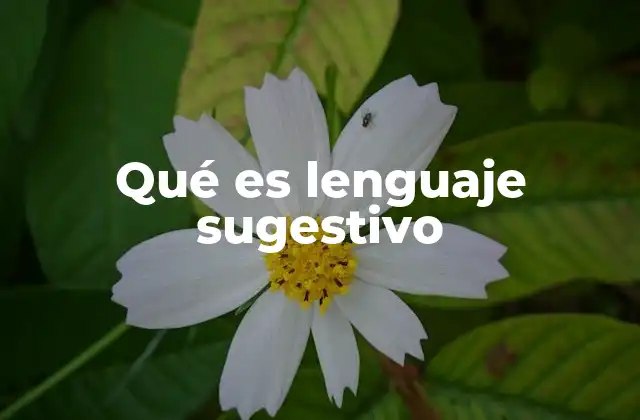 Qué es Lenguaje Sugestivo