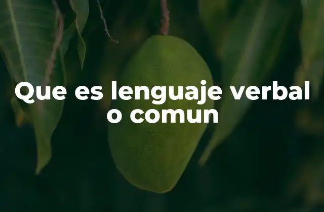 Que es Lenguaje Verbal o Comun