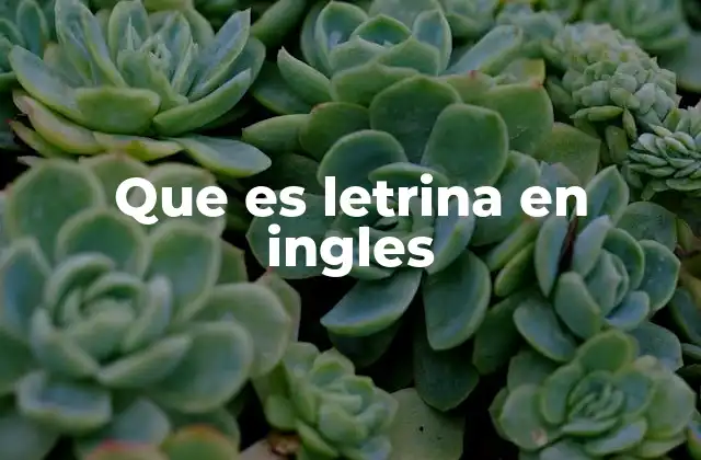 Que es Letrina en Ingles