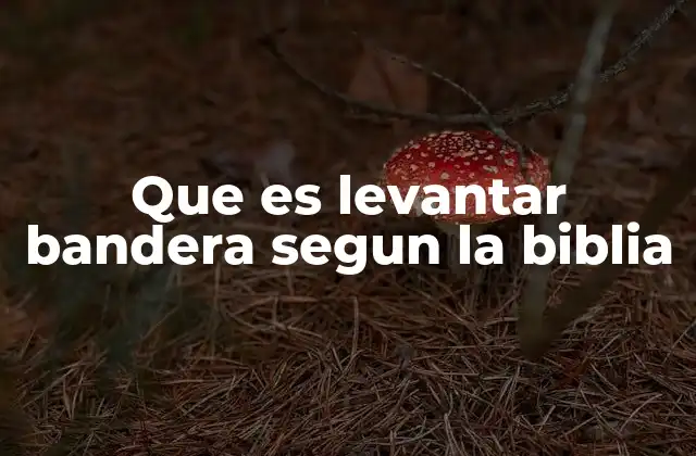 Que es Levantar Bandera Segun la Biblia