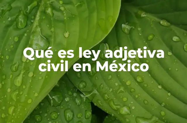 Qué es Ley Adjetiva Civil en México