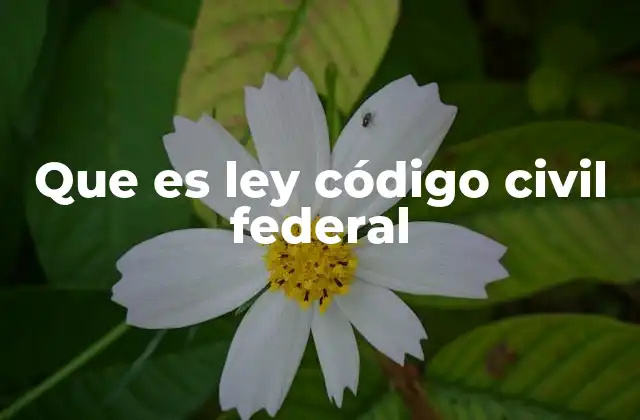 El papel del Código Civil Federal en la vida cotidiana
