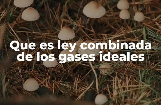 Que es Ley Combinada de los Gases Ideales 2 El comportamiento de los gases en condiciones variables
