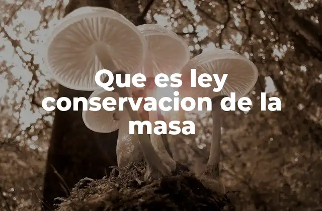 Que es Ley Conservacion de la Masa 2 Fundamentos de la conservación de la materia en reacciones químicas