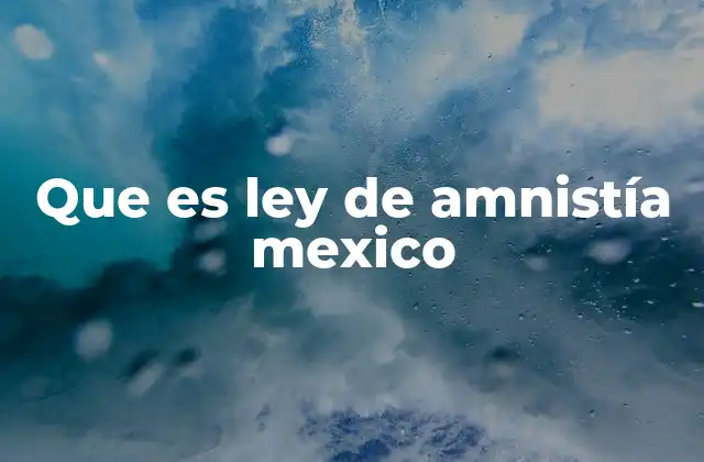 Que es Ley de Amnistía Mexico