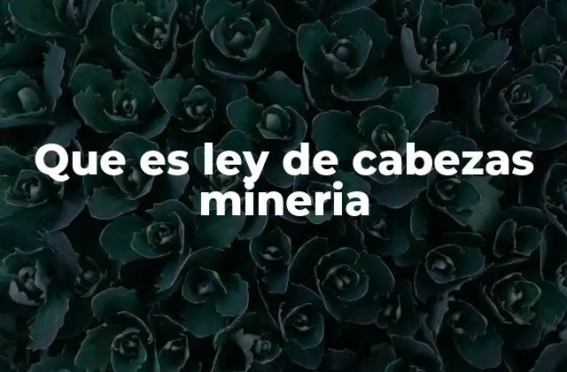 La importancia de la concentración de minerales en la minería
