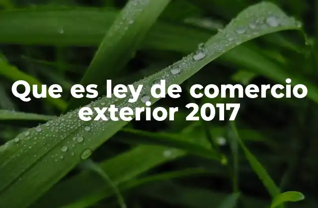 Que es Ley de Comercio Exterior 2017