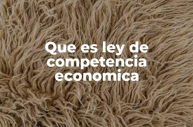 Que es Ley de Competencia Economica