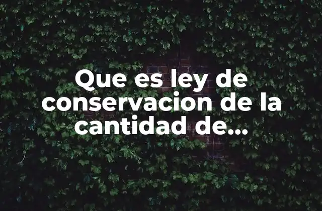 Que es Ley de Conservacion de la Cantidad de Movimiento