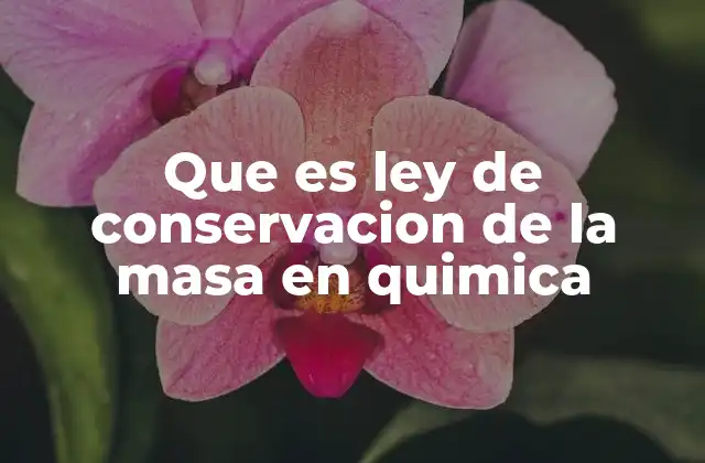 Que es Ley de Conservacion de la Masa en Quimica