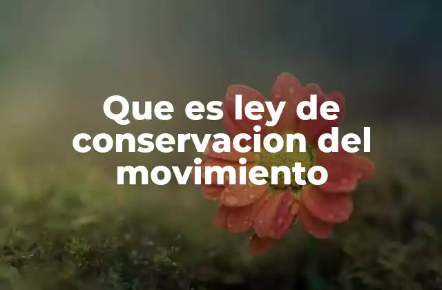 El papel de la conservación en sistemas físicos