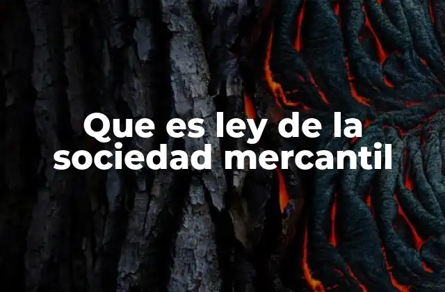 Que es Ley de la Sociedad Mercantil