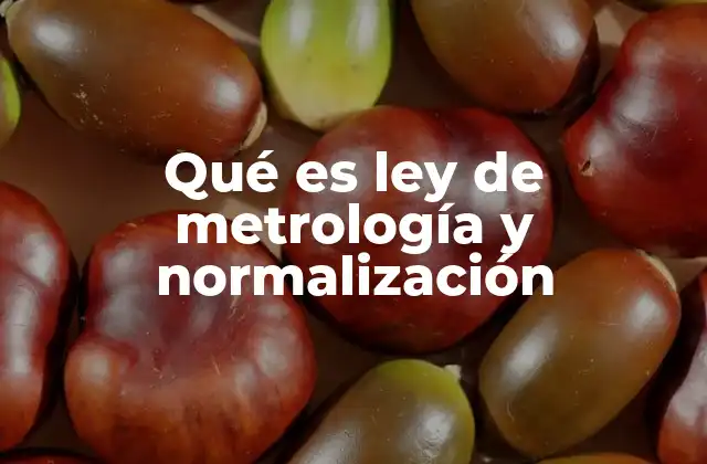 El rol de la metrología y la normalización en la economía