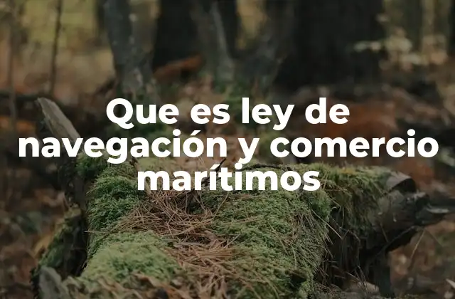 La importancia de la regulación marítima en el desarrollo económico