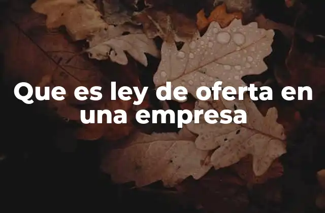 Que es Ley de Oferta en una Empresa