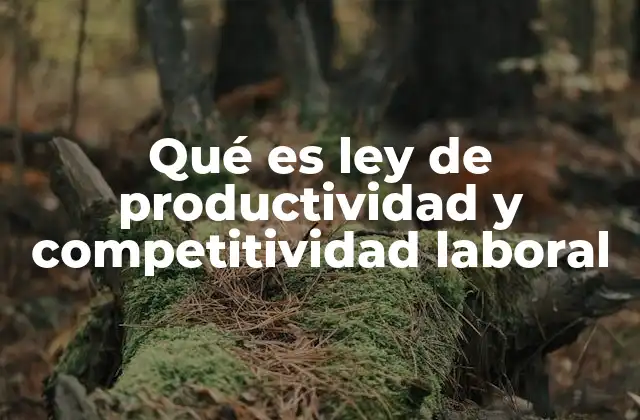 Qué es Ley de Productividad y Competitividad Laboral