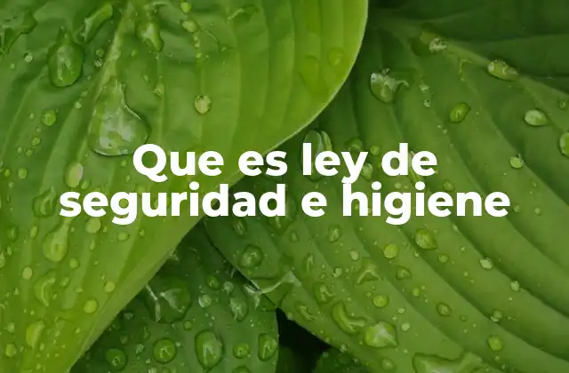 Que es Ley de Seguridad e Higiene 2 La importancia de contar con un entorno laboral seguro