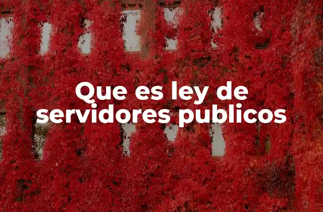 Que es Ley de Servidores Publicos