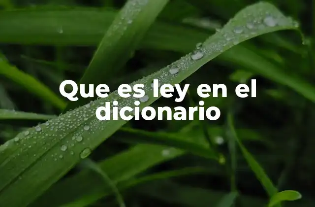 Que es Ley en el Dicionario