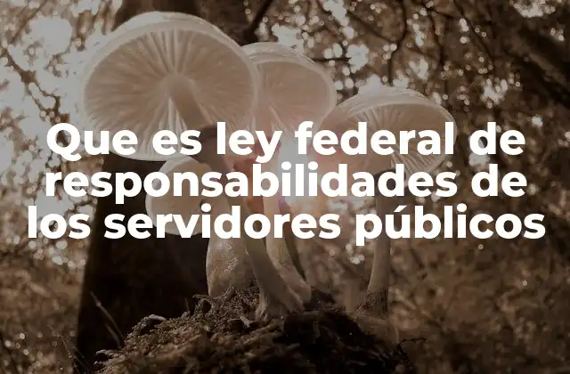 Que es Ley Federal de Responsabilidades de los Servidores Públicos
