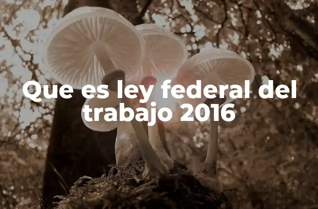 Que es Ley Federal Del Trabajo 2016