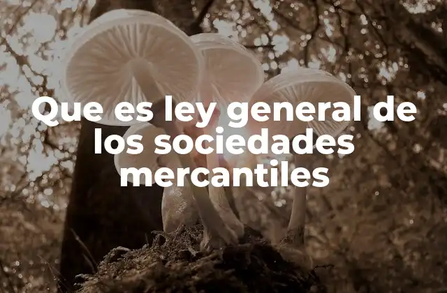 Que es Ley General de los Sociedades Mercantiles