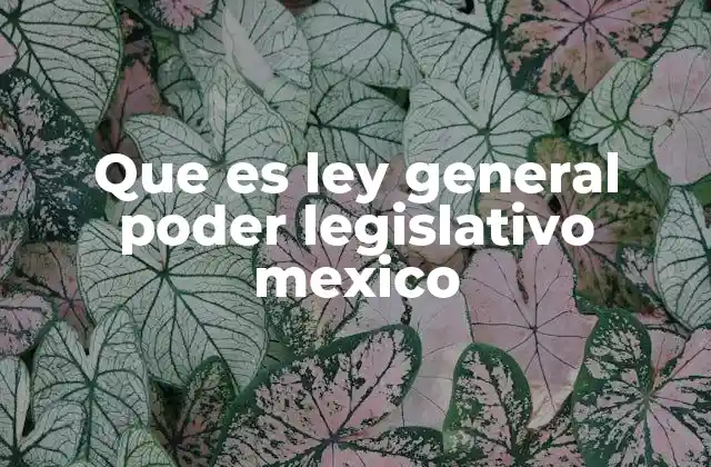Que es Ley General Poder Legislativo Mexico 2 El papel del Congreso de la Unión en el sistema político mexicano
