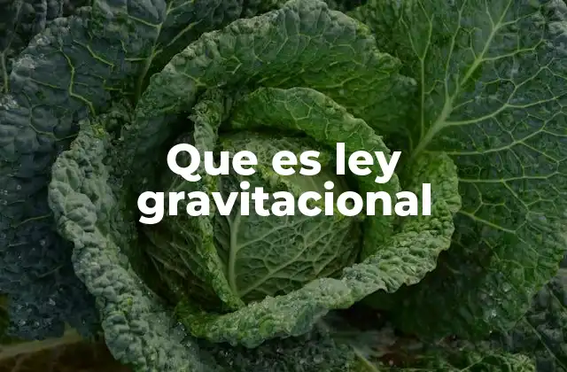 Que es Ley Gravitacional