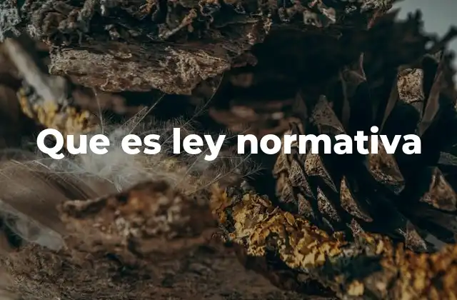 Que es Ley Normativa