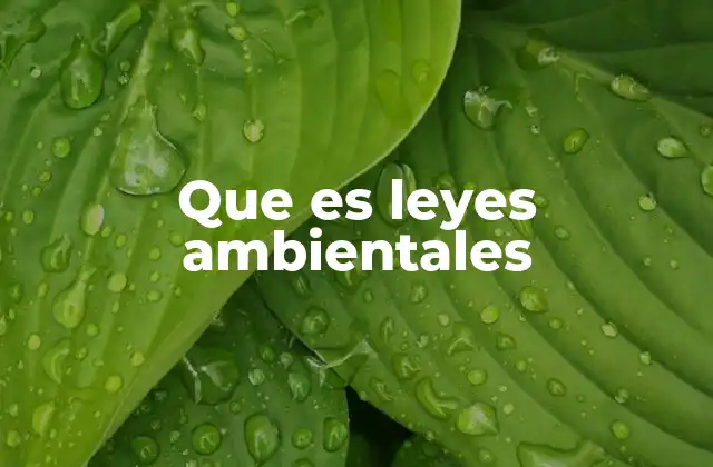 Que es Leyes Ambientales