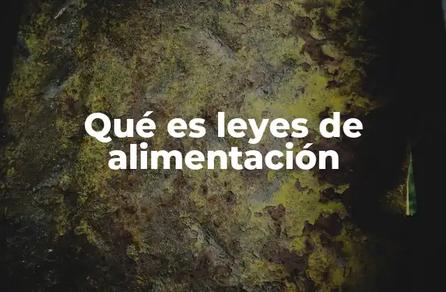 Qué es Leyes de Alimentación