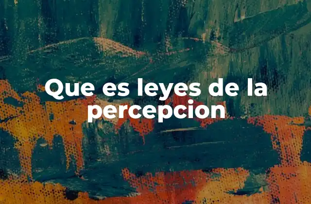 Que es Leyes de la Percepcion