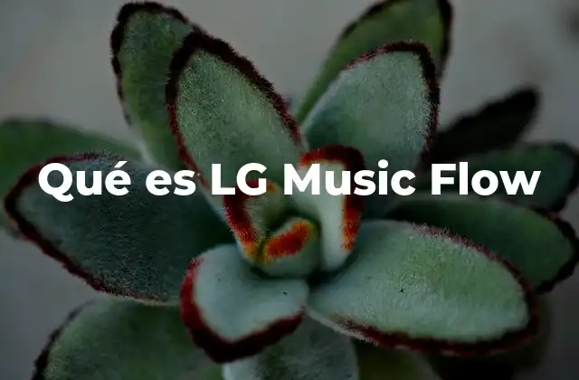 Qué es Lg Music Flow