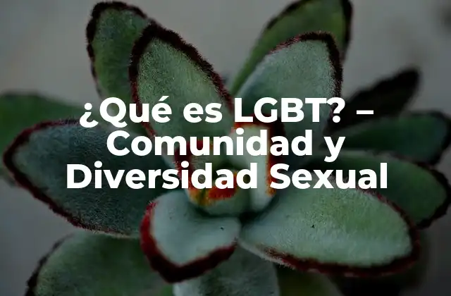 ¿qué es Lgbt? - Comunidad y Diversidad Sexual 2 Orígenes y Evolución de la Comunidad LGBT