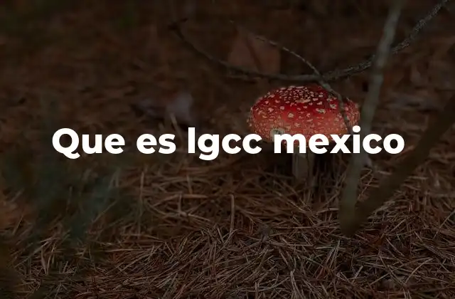 Que es Lgcc Mexico 2 El papel de las instituciones financieras en el sistema LGCC